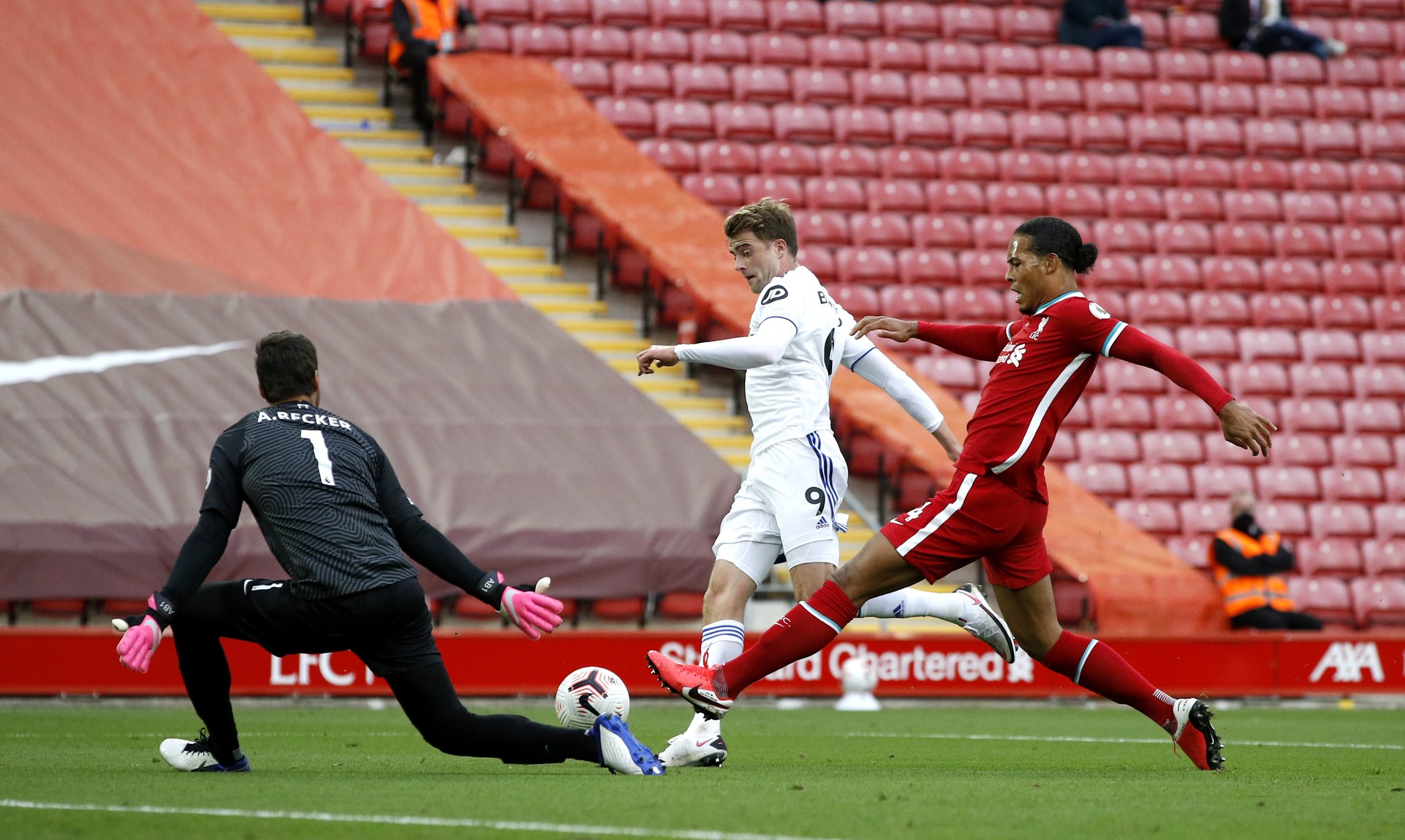 现出极高的 现出极高的